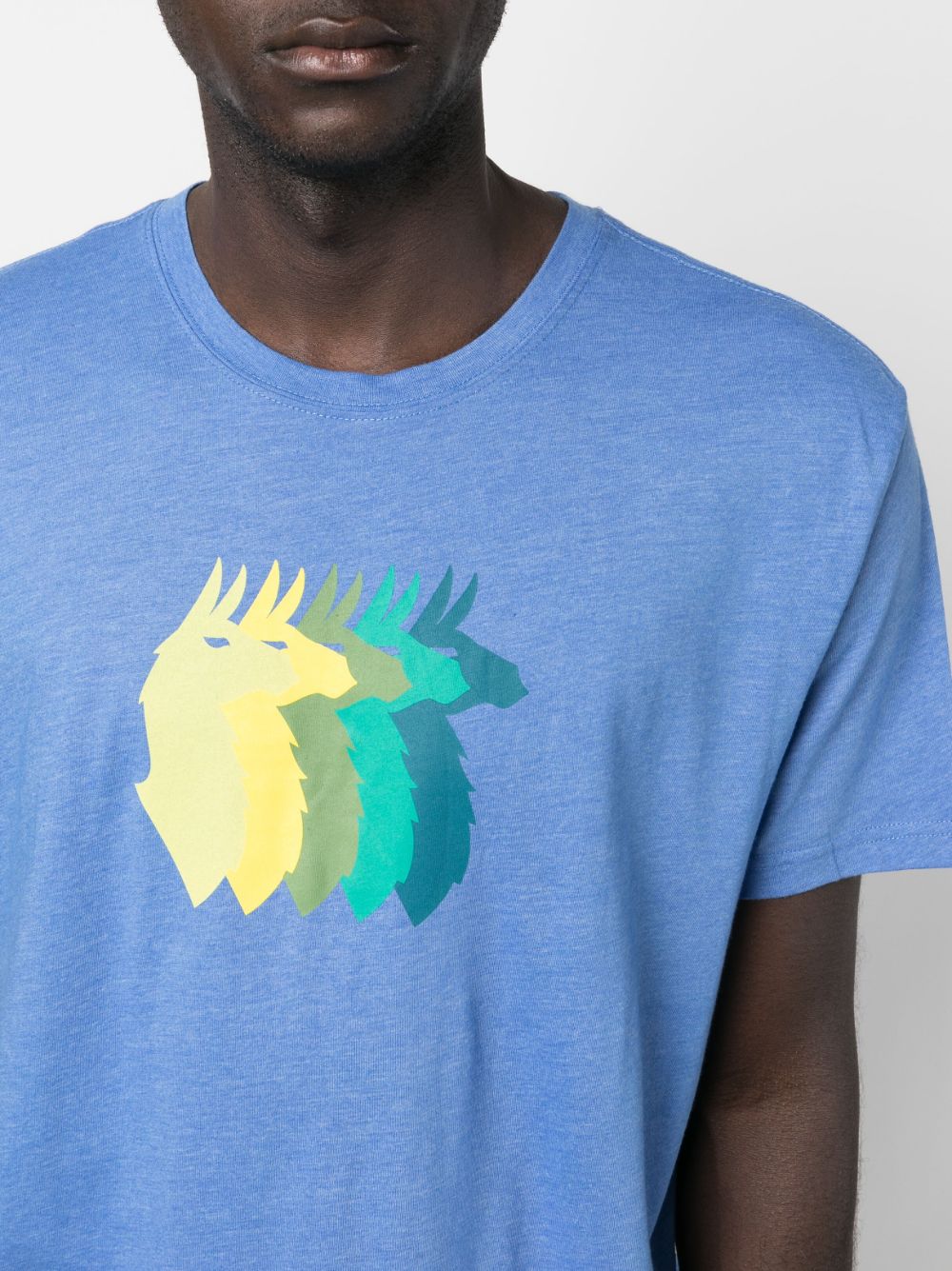 Llama Sequence Organic Organic