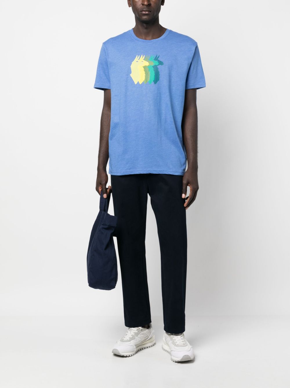 Llama Sequence Organic Organic