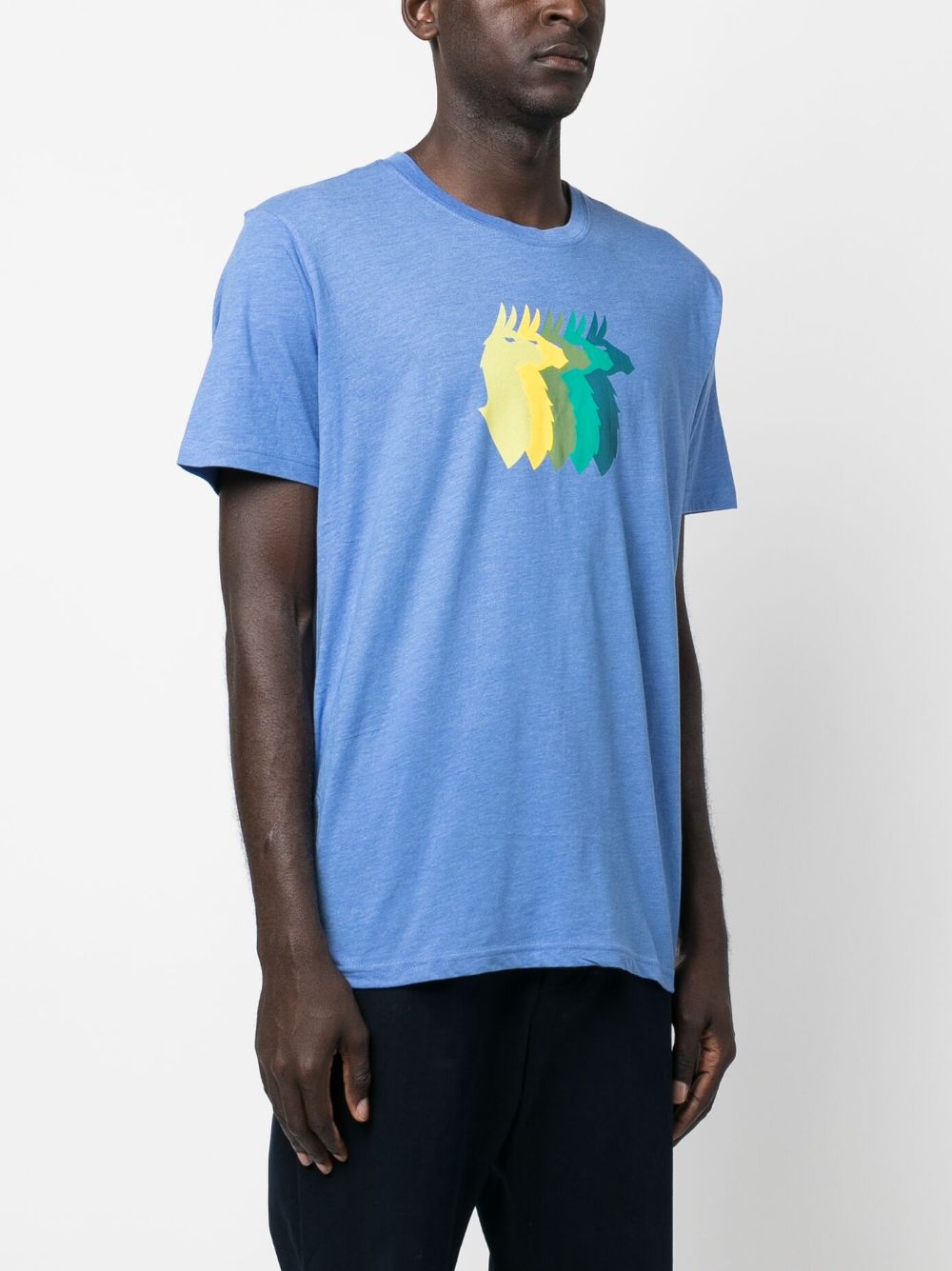 Llama Sequence Organic Organic