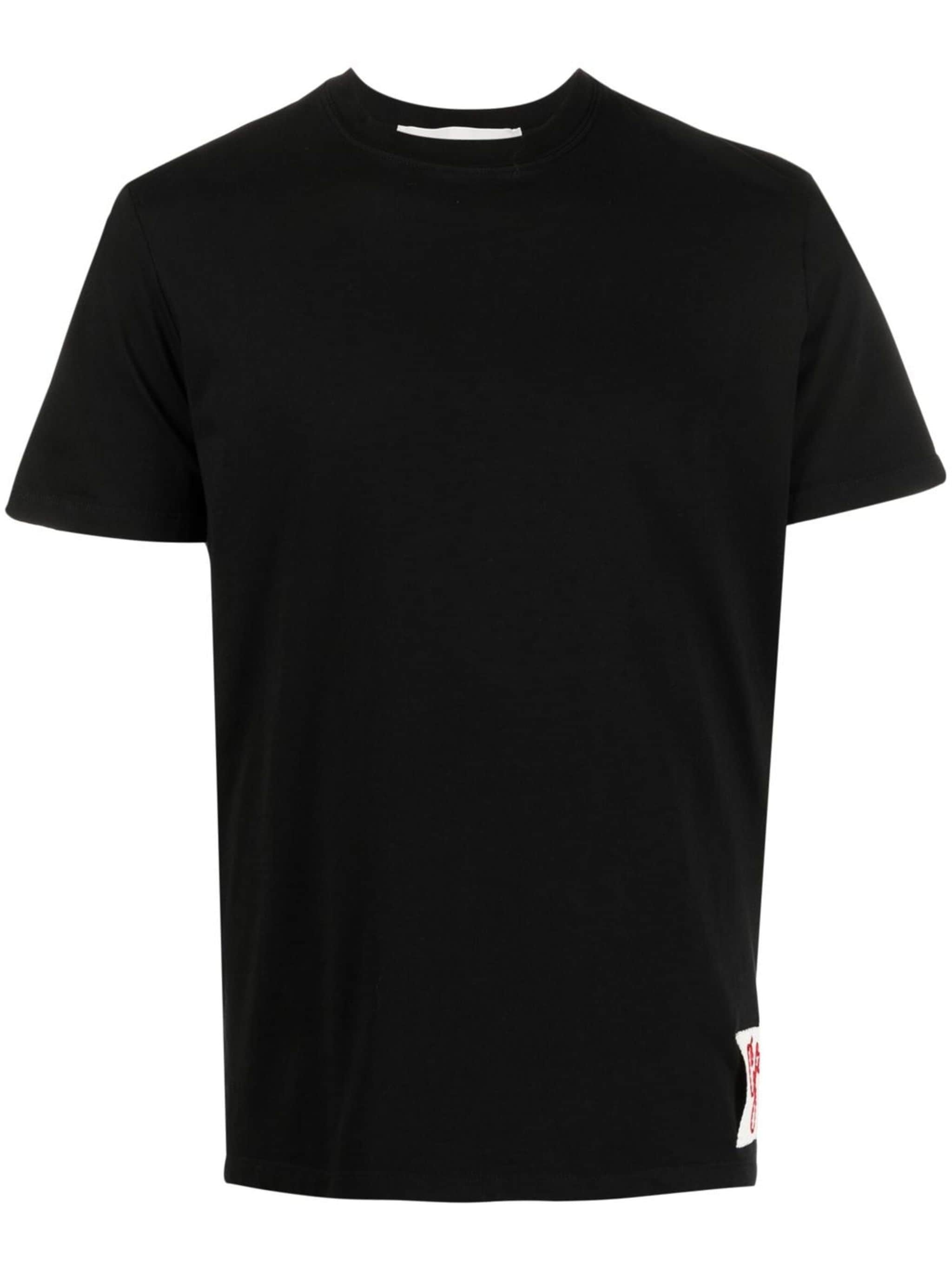 GOLDEN W`S REGULAR T-SHIRT DISTRESSED COTTON JERSEY