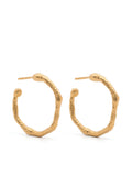 small hoop earrings