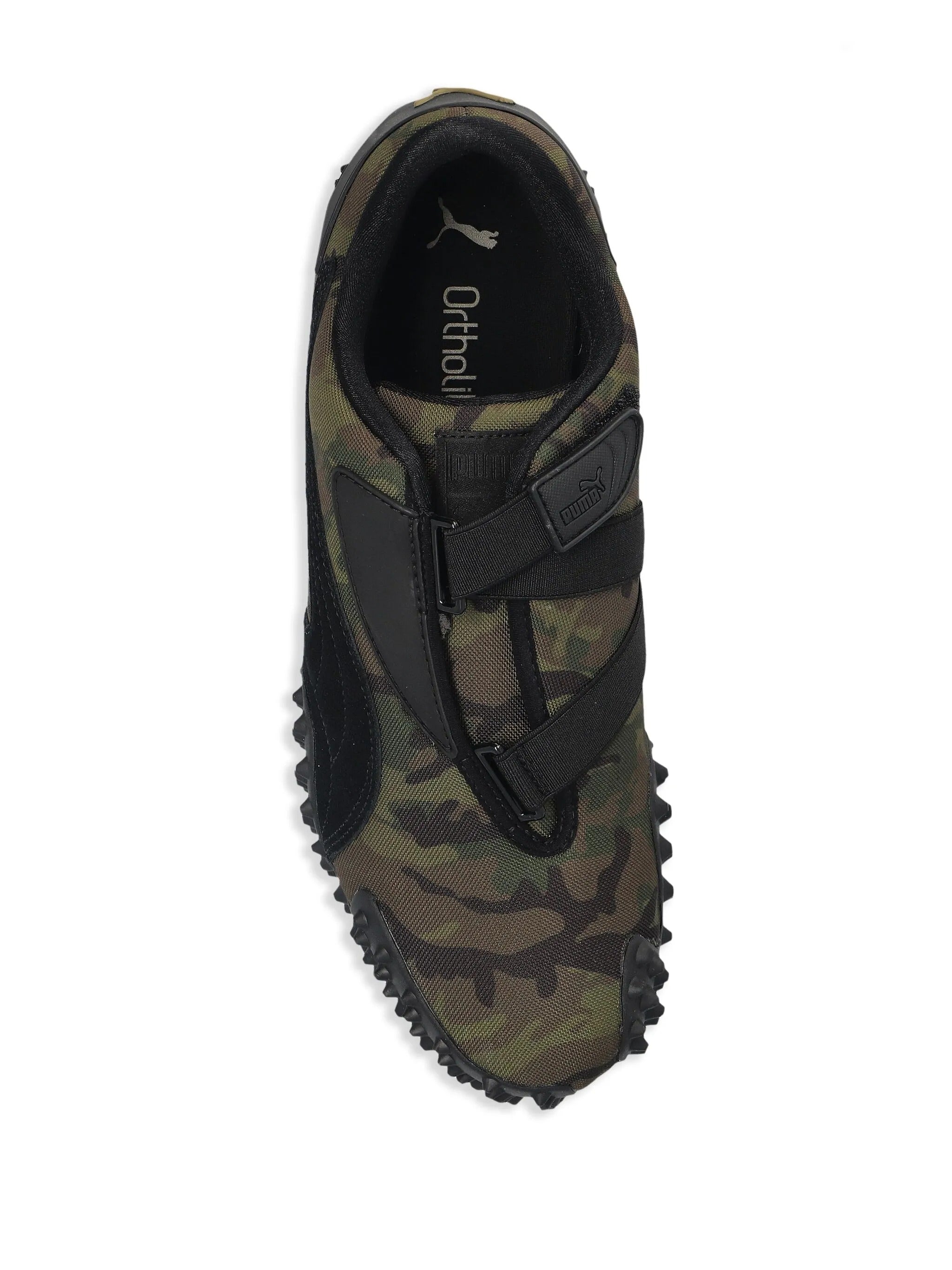 Mostro Camo