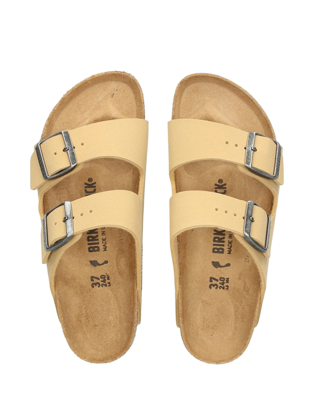 Arizona latte cream, Birkibuc