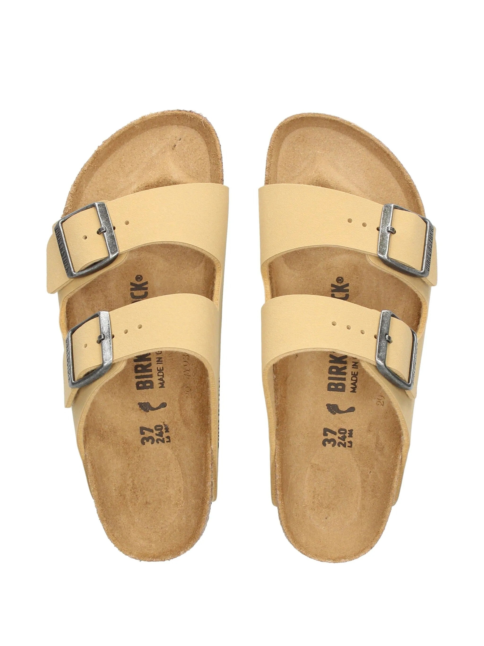 Arizona latte cream, Birkibuc