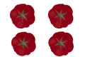 Small Pizza Plate - set 4 - Tomato