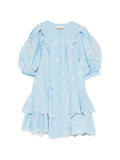 MAIZY EMBROIDERED MINI DRESS