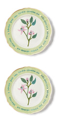 Set 2 pz. - PIATTO PIANO CM.26,5 CLEMATIDE