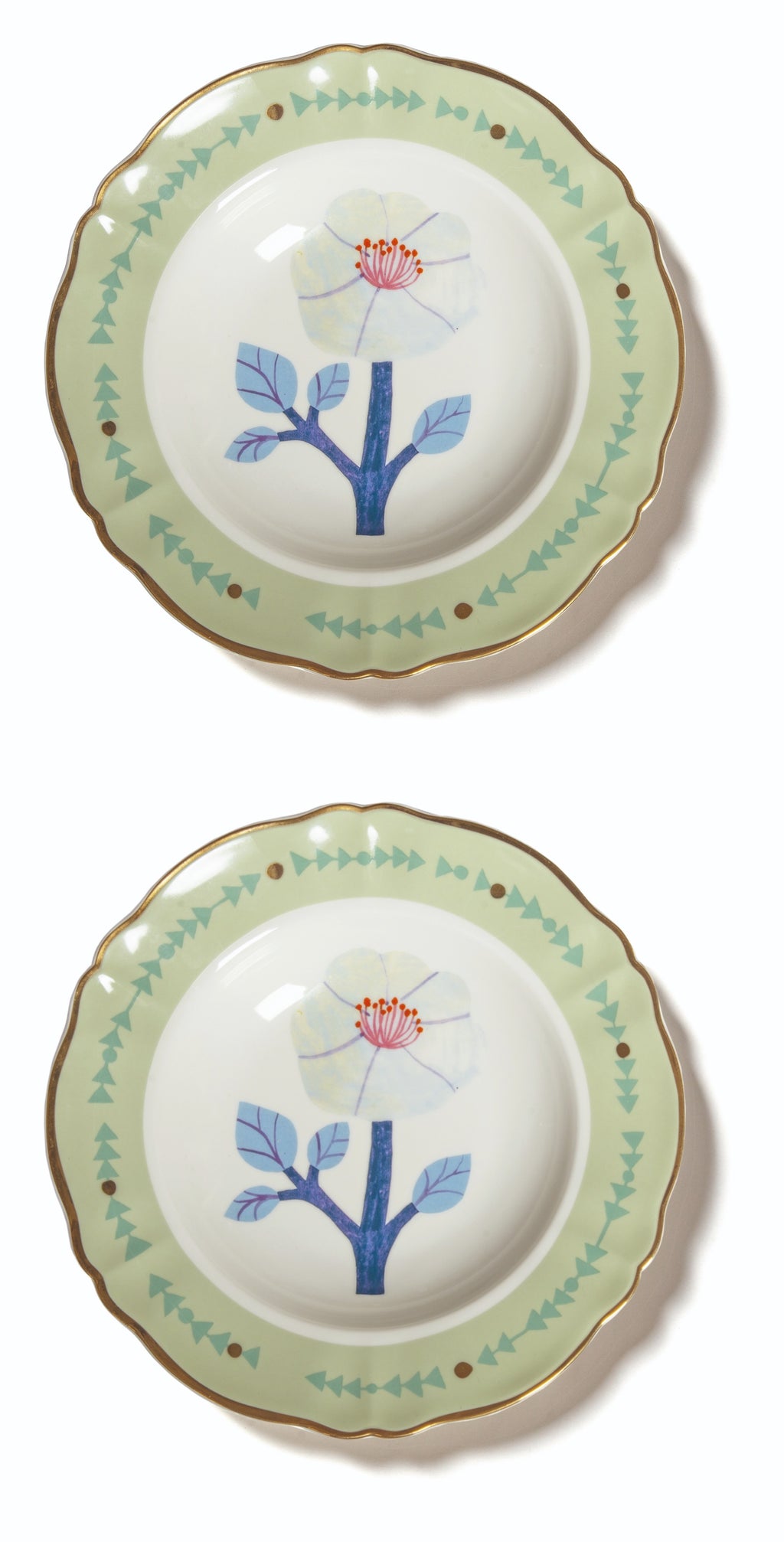 Set 2 pz. - PIATTO FONDO CM.23 IBISCO