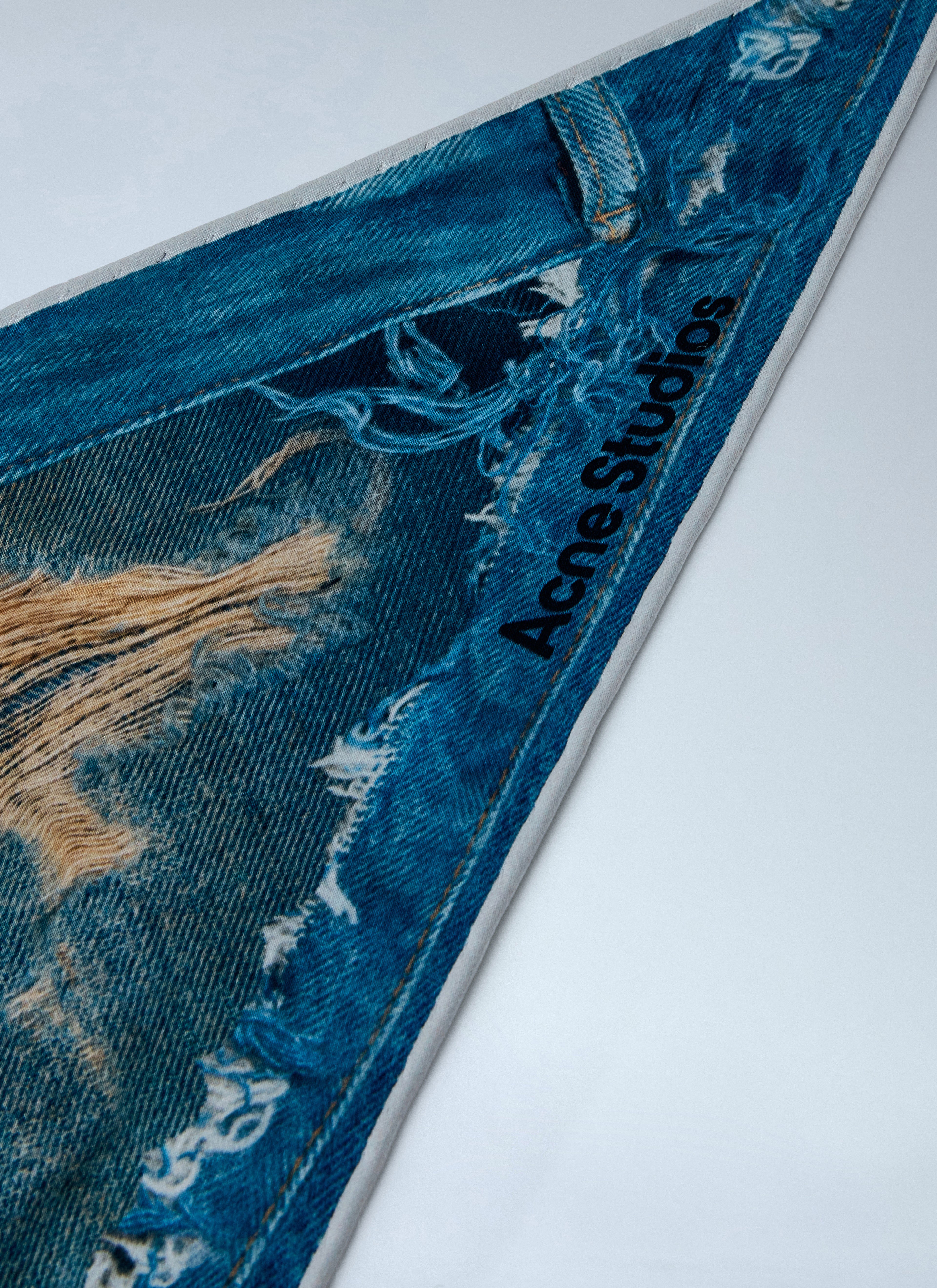 Printed Silk Scarf