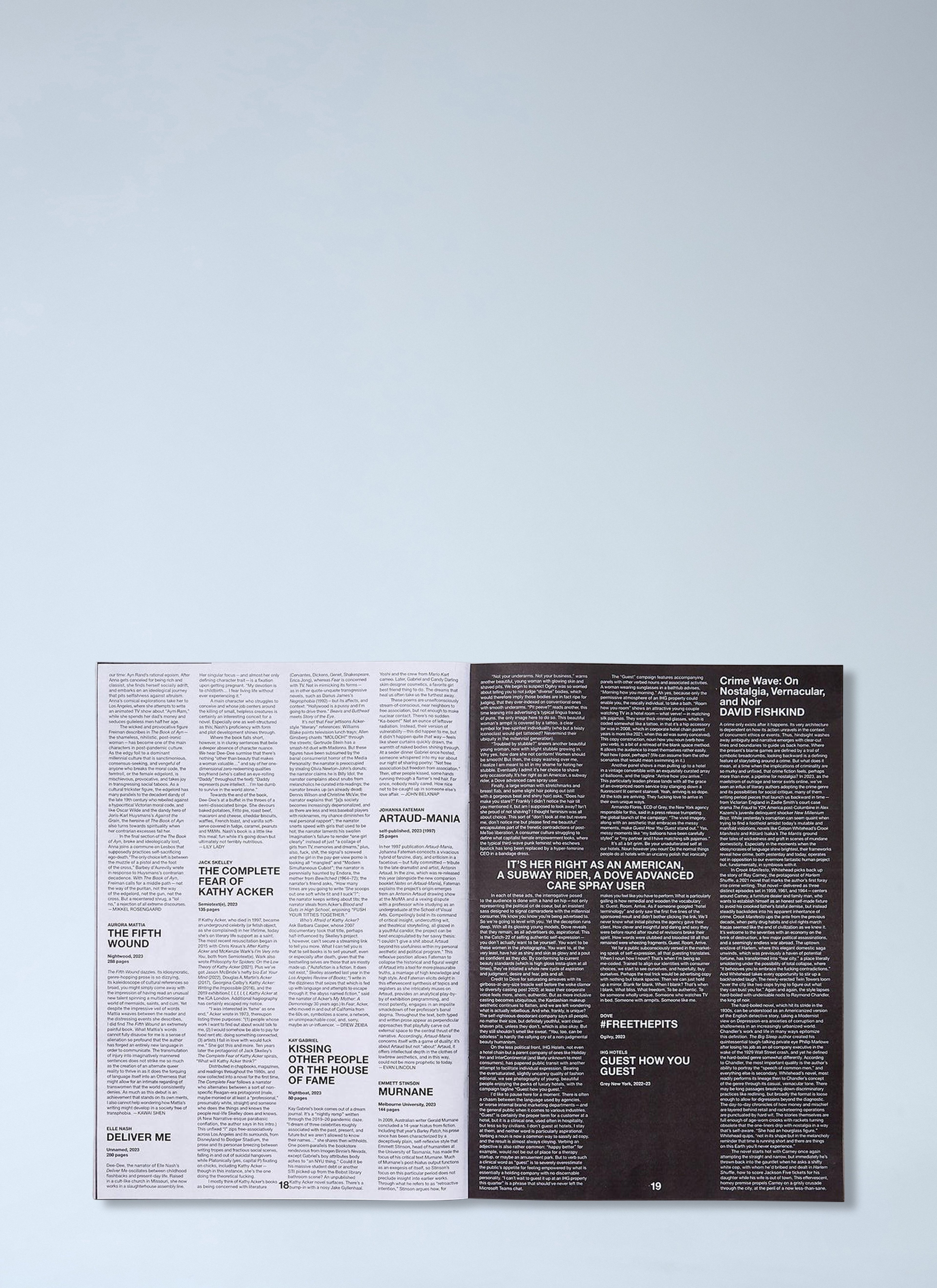 The Whitney Review Of New Writing Magazine Issue 2