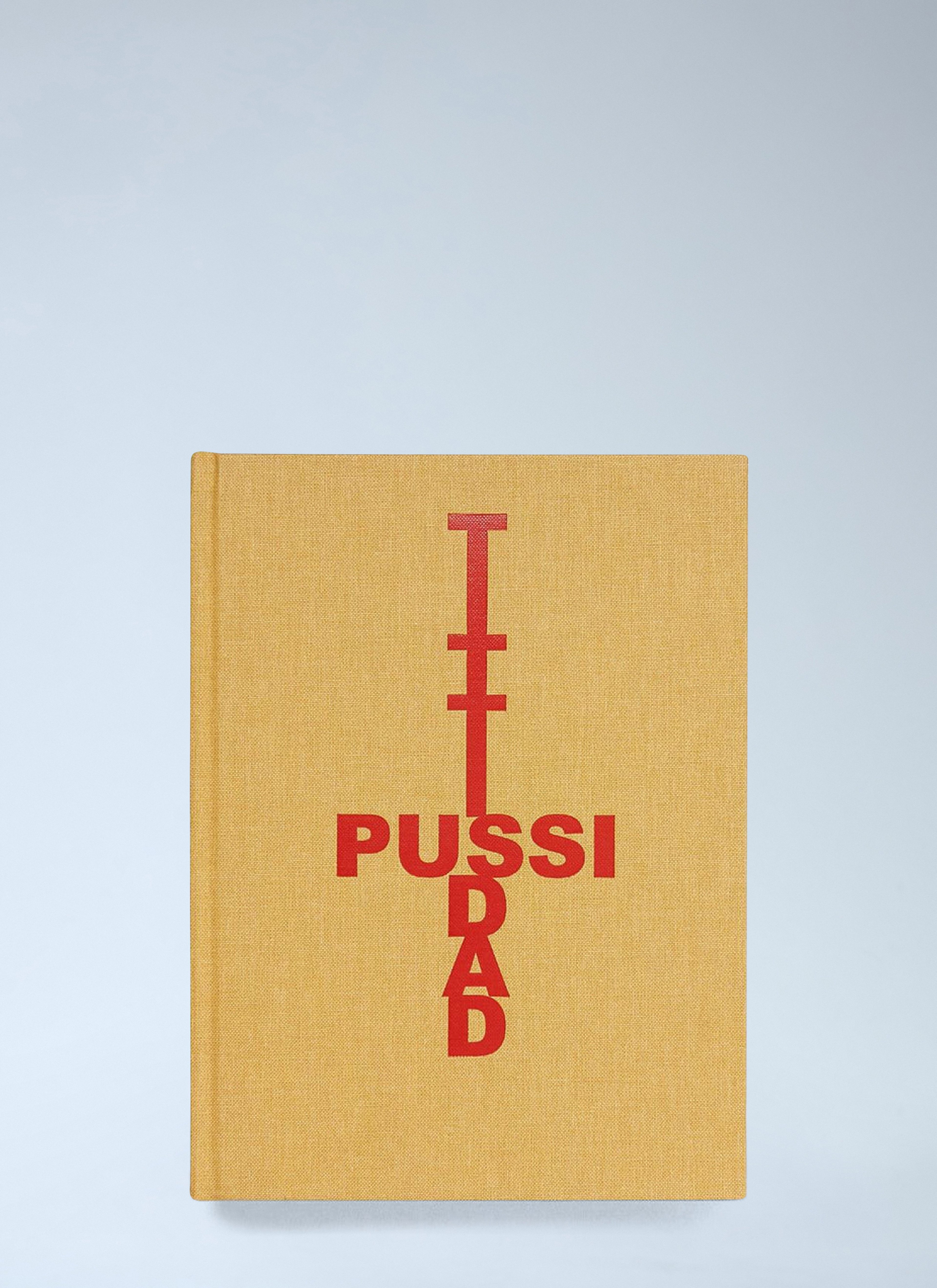 TITTIPUSSIDAD - Sarah Lucas