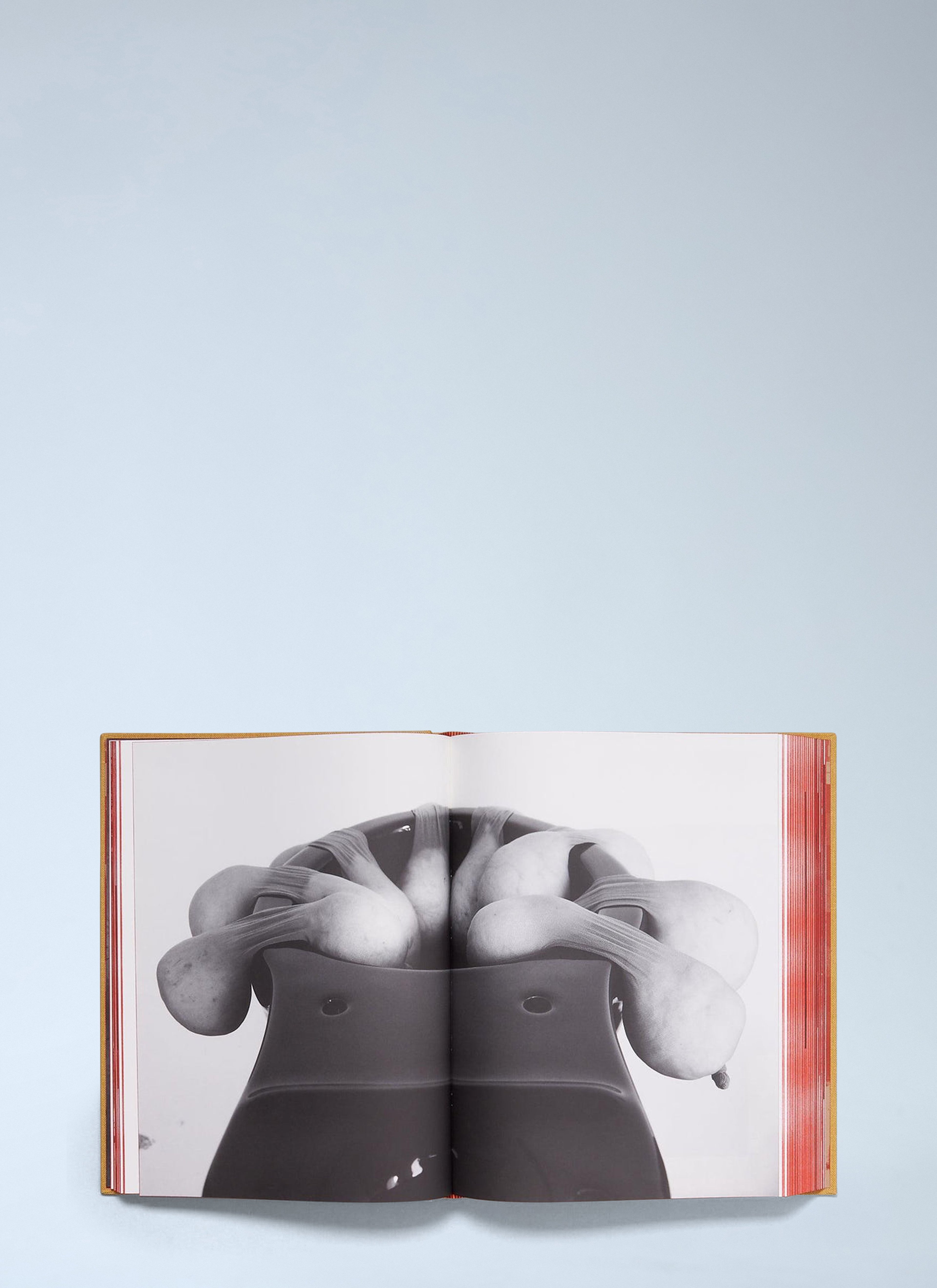 TITTIPUSSIDAD - Sarah Lucas