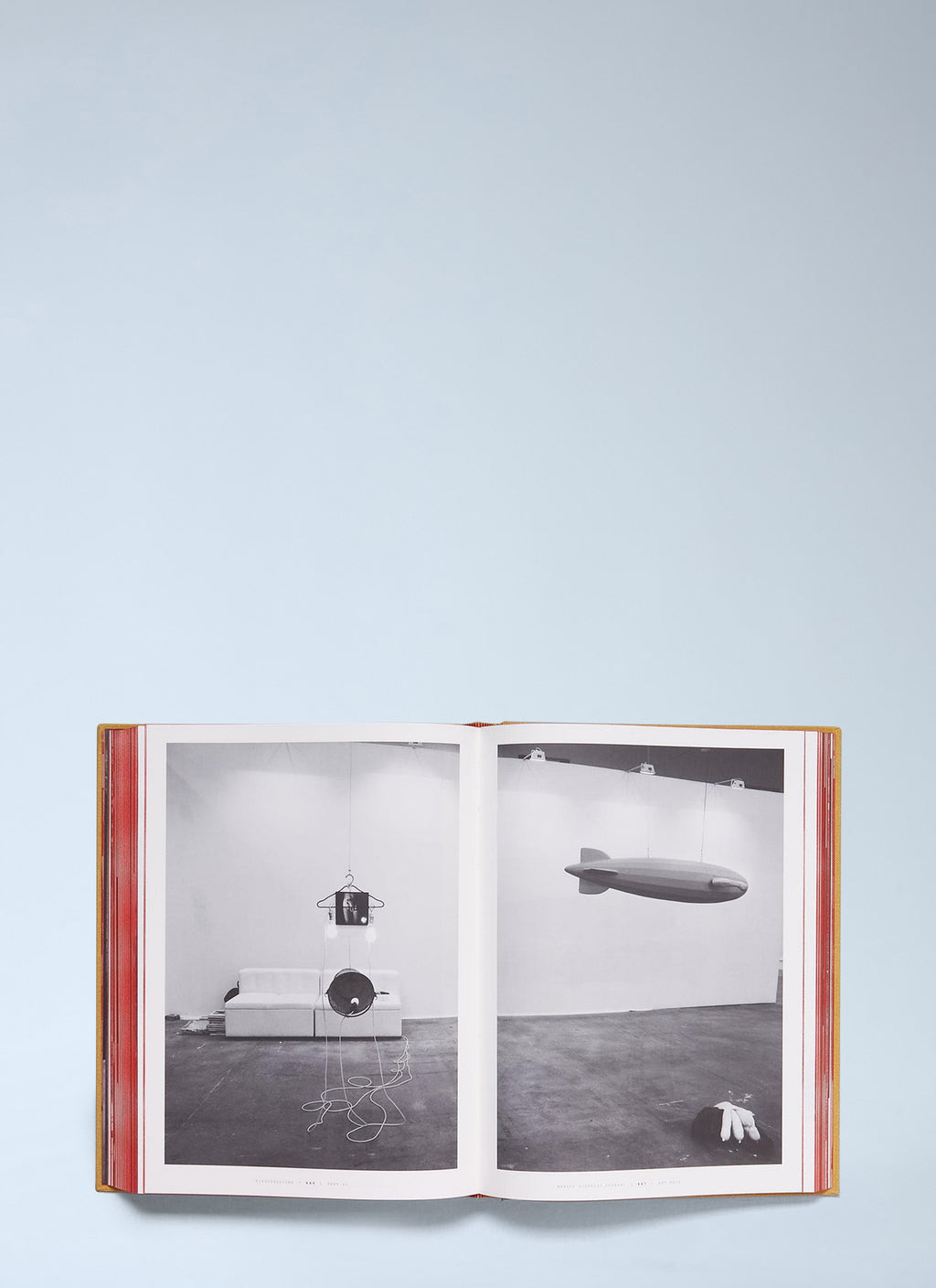 TITTIPUSSIDAD - Sarah Lucas