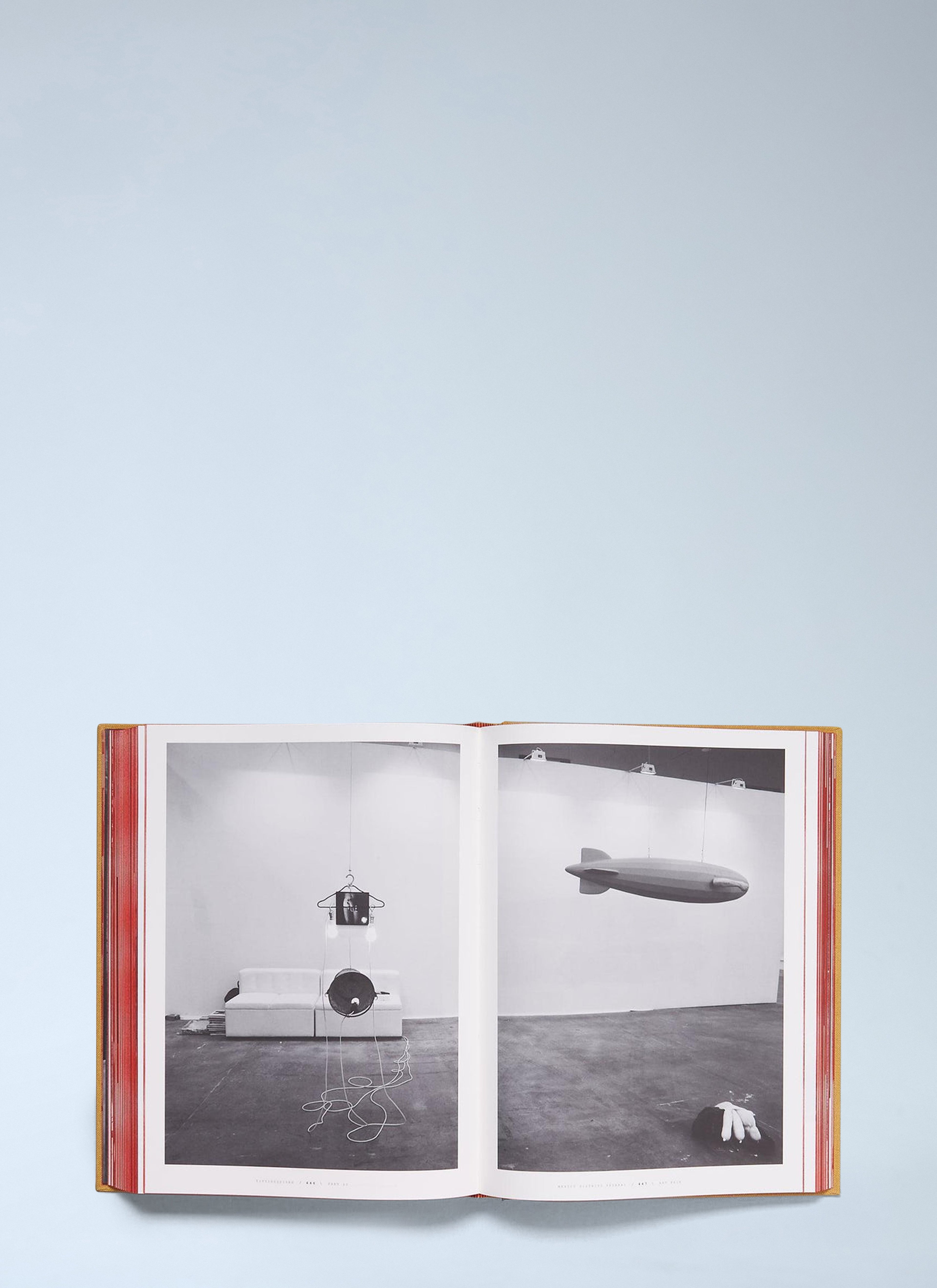 TITTIPUSSIDAD - Sarah Lucas