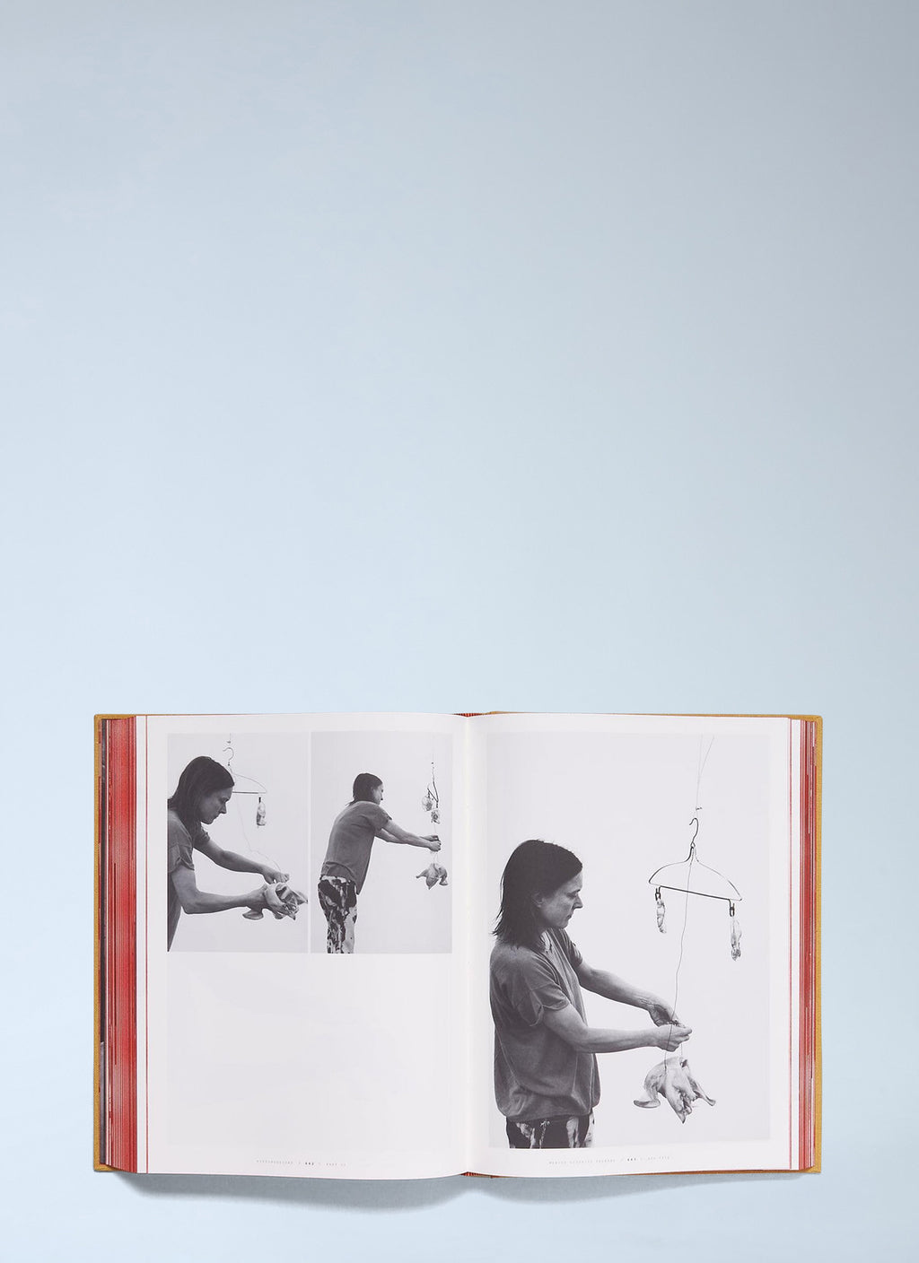 TITTIPUSSIDAD - Sarah Lucas