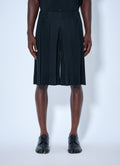 Tailored Pleats 2 Shorts
