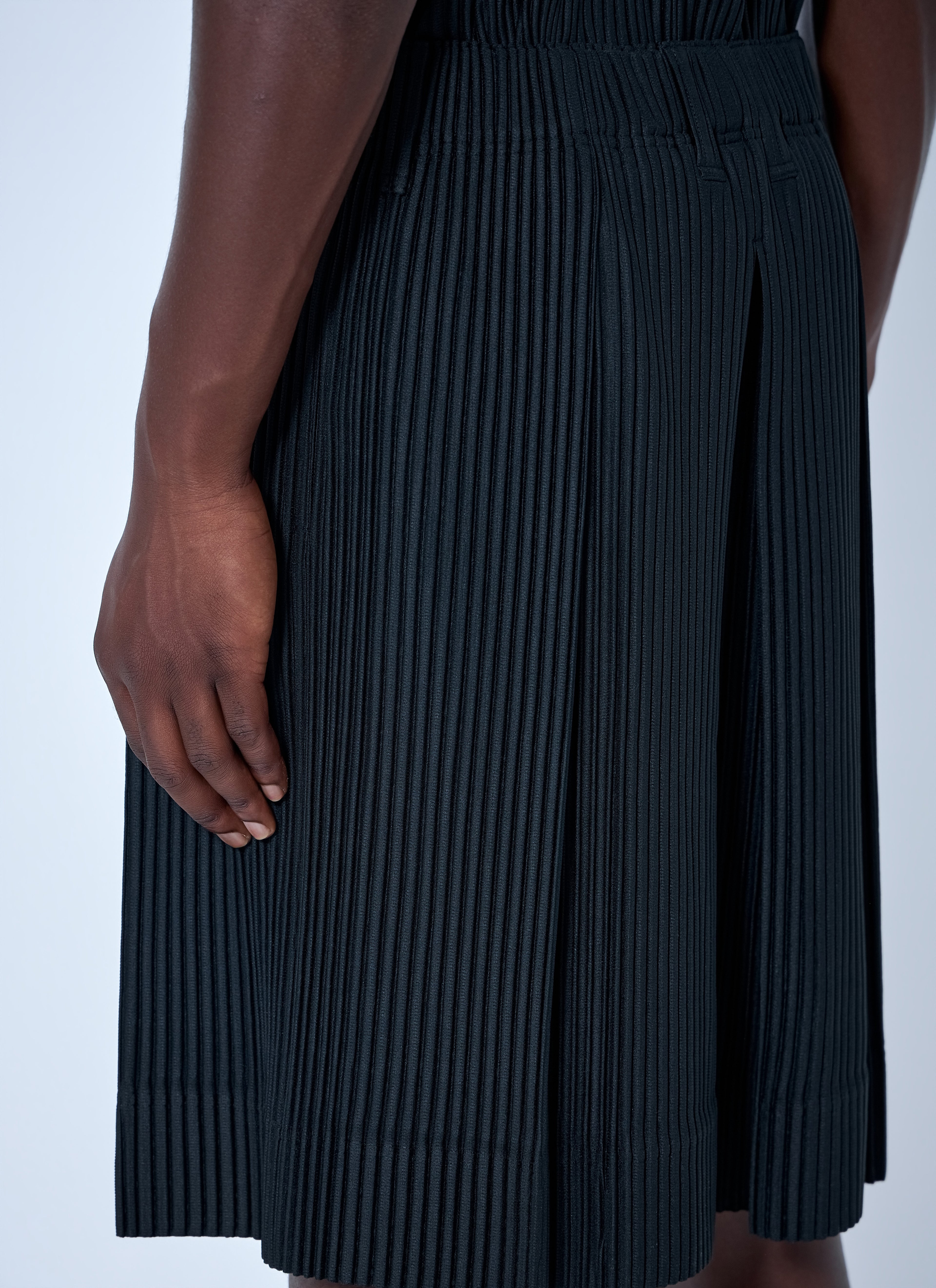 Tailored Pleats 2 Shorts