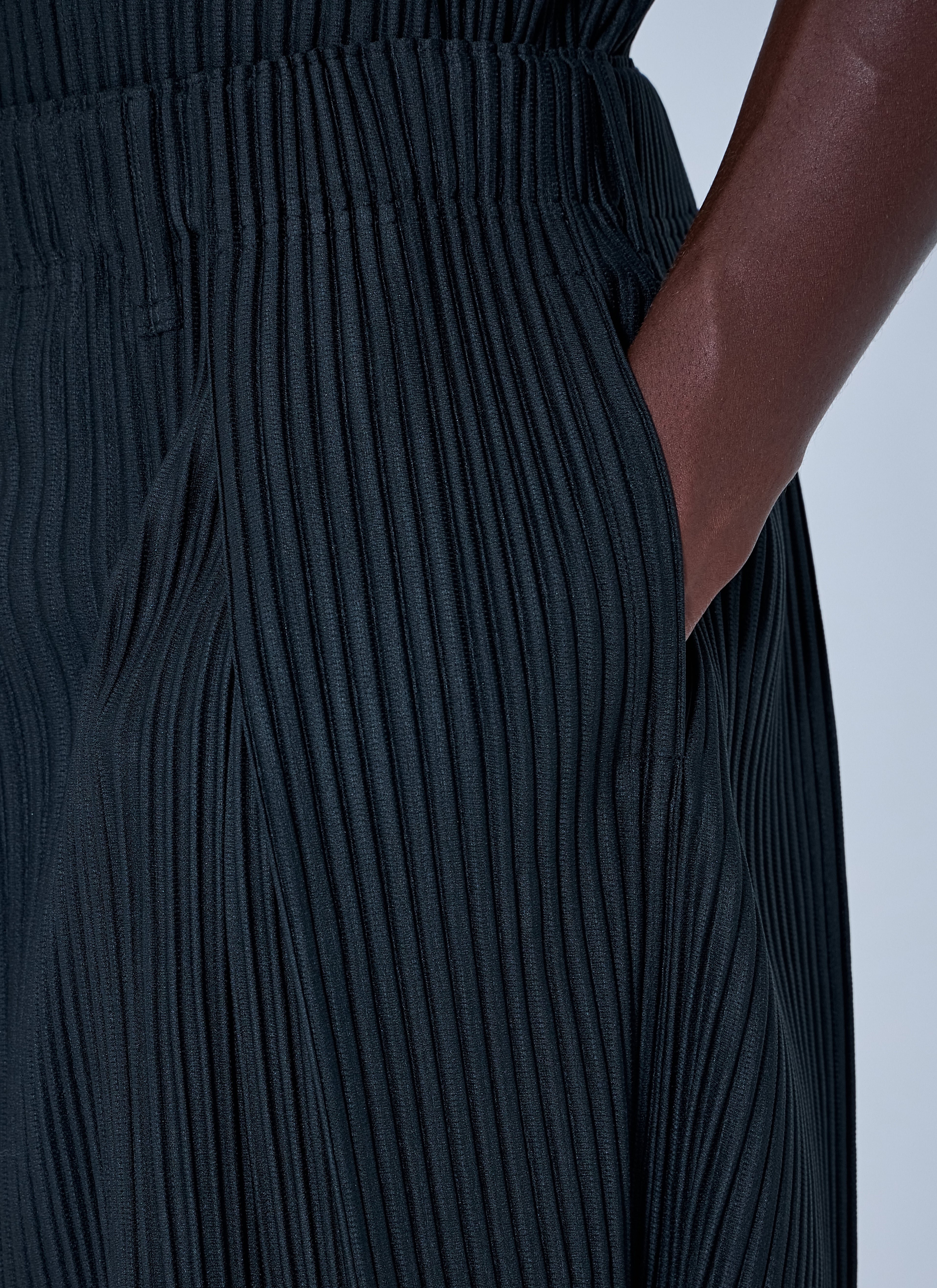 Tailored Pleats 2 Shorts