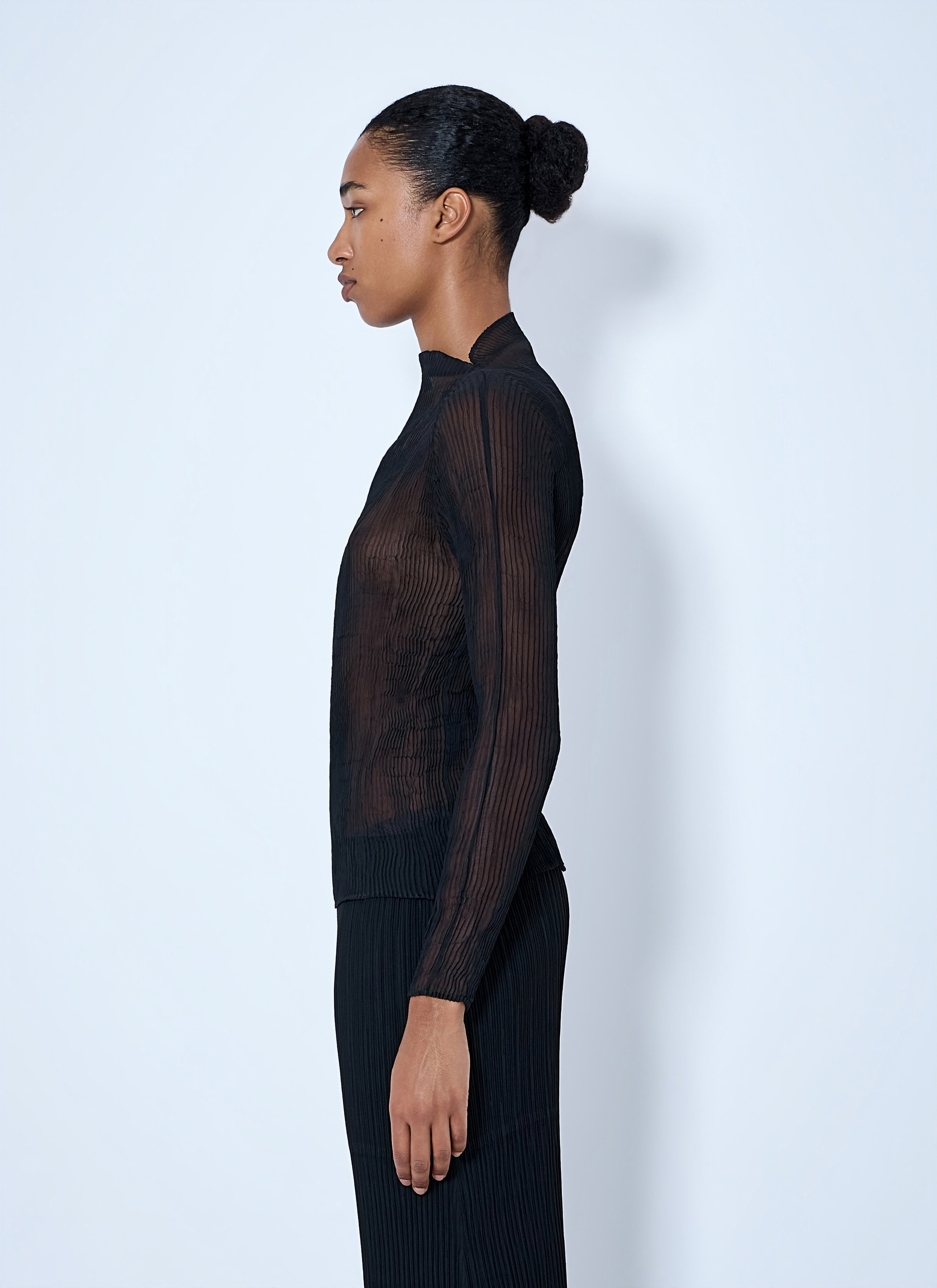 Sheer Pleated Top
