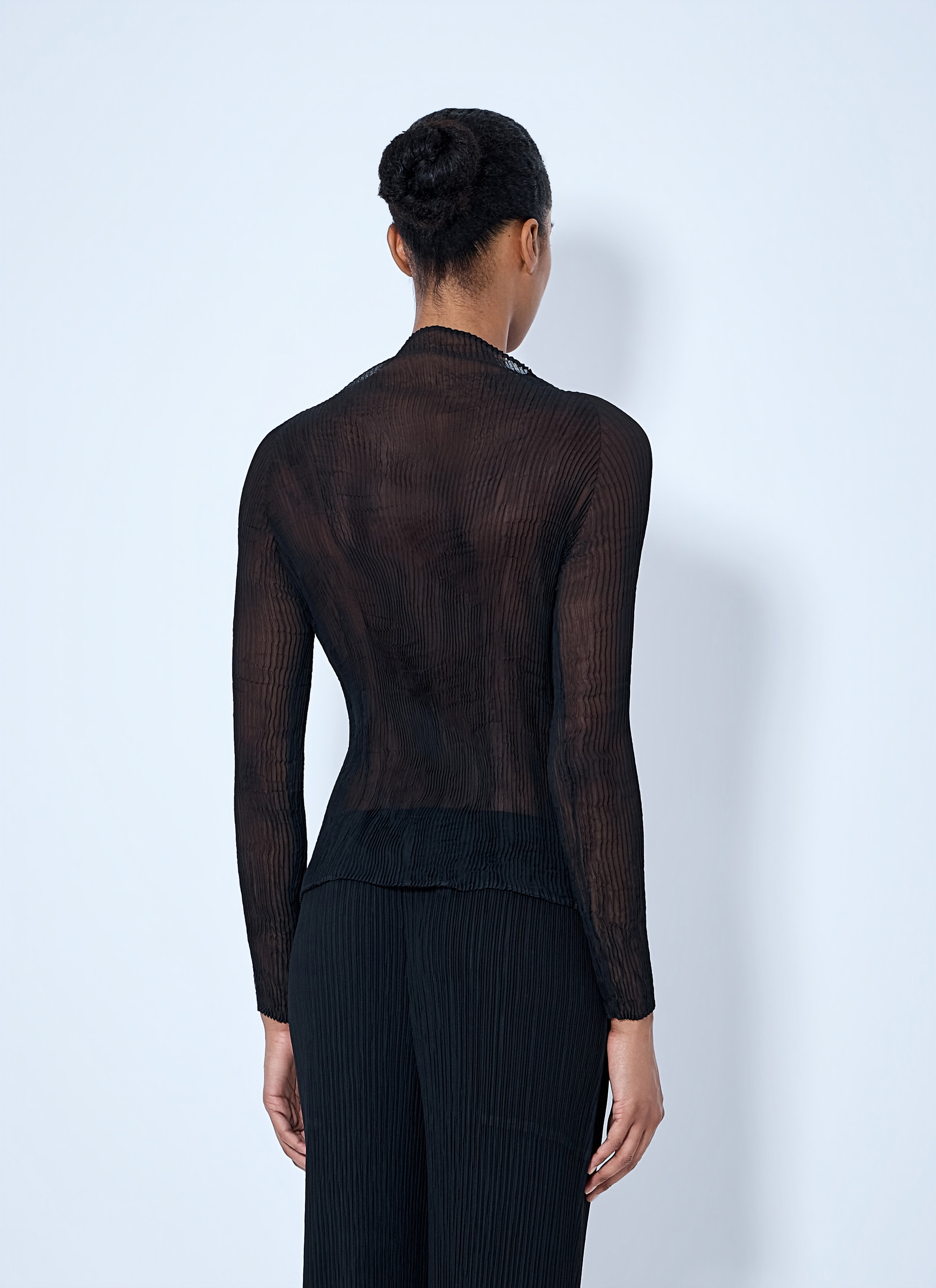 Sheer Pleated Top
