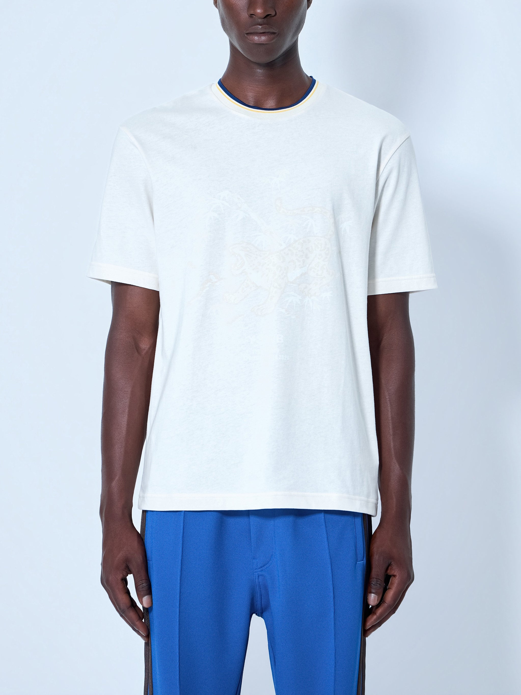 Graphic T-Shirt