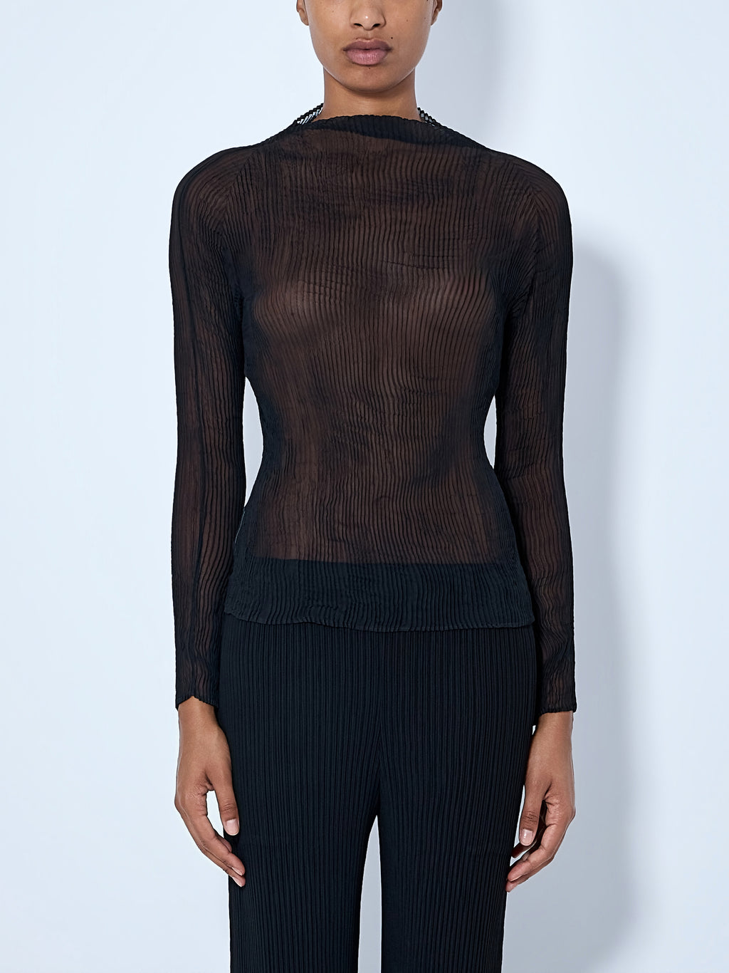 Sheer Pleated Top