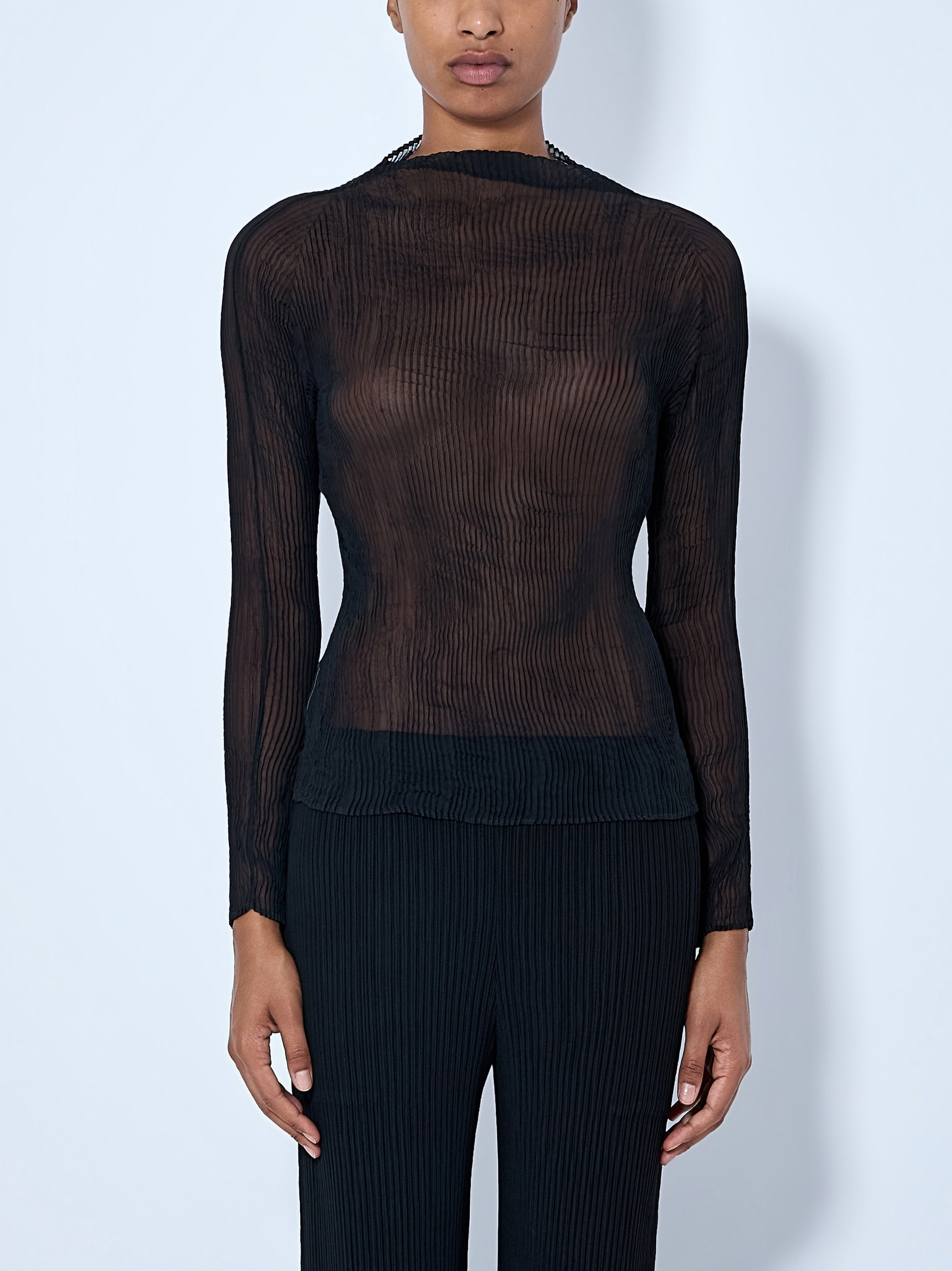 Sheer Pleated Top