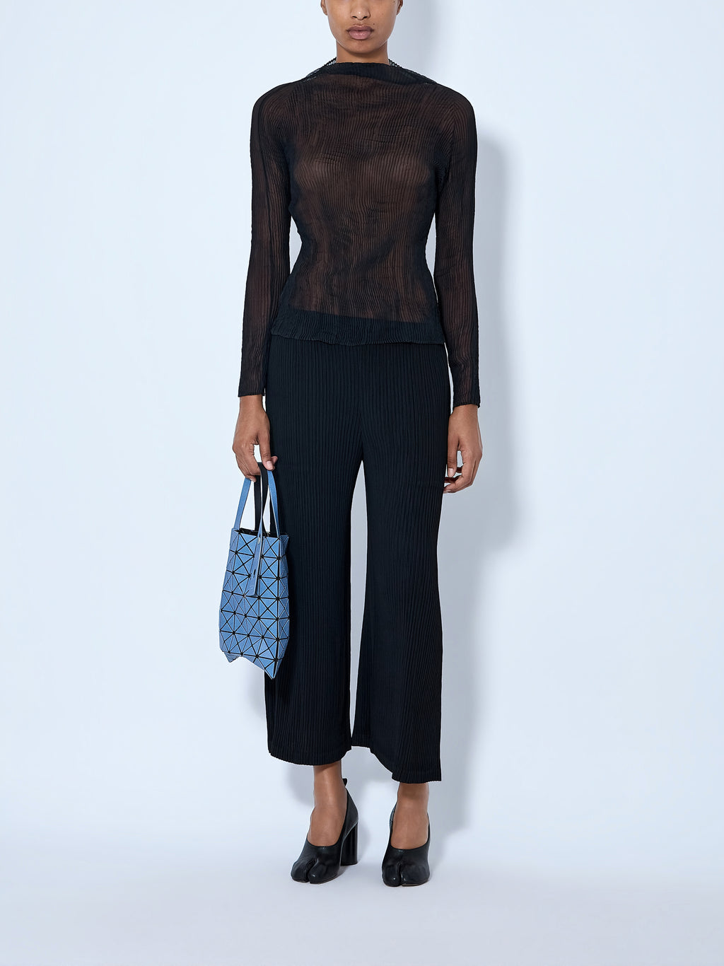 Sheer Pleated Top
