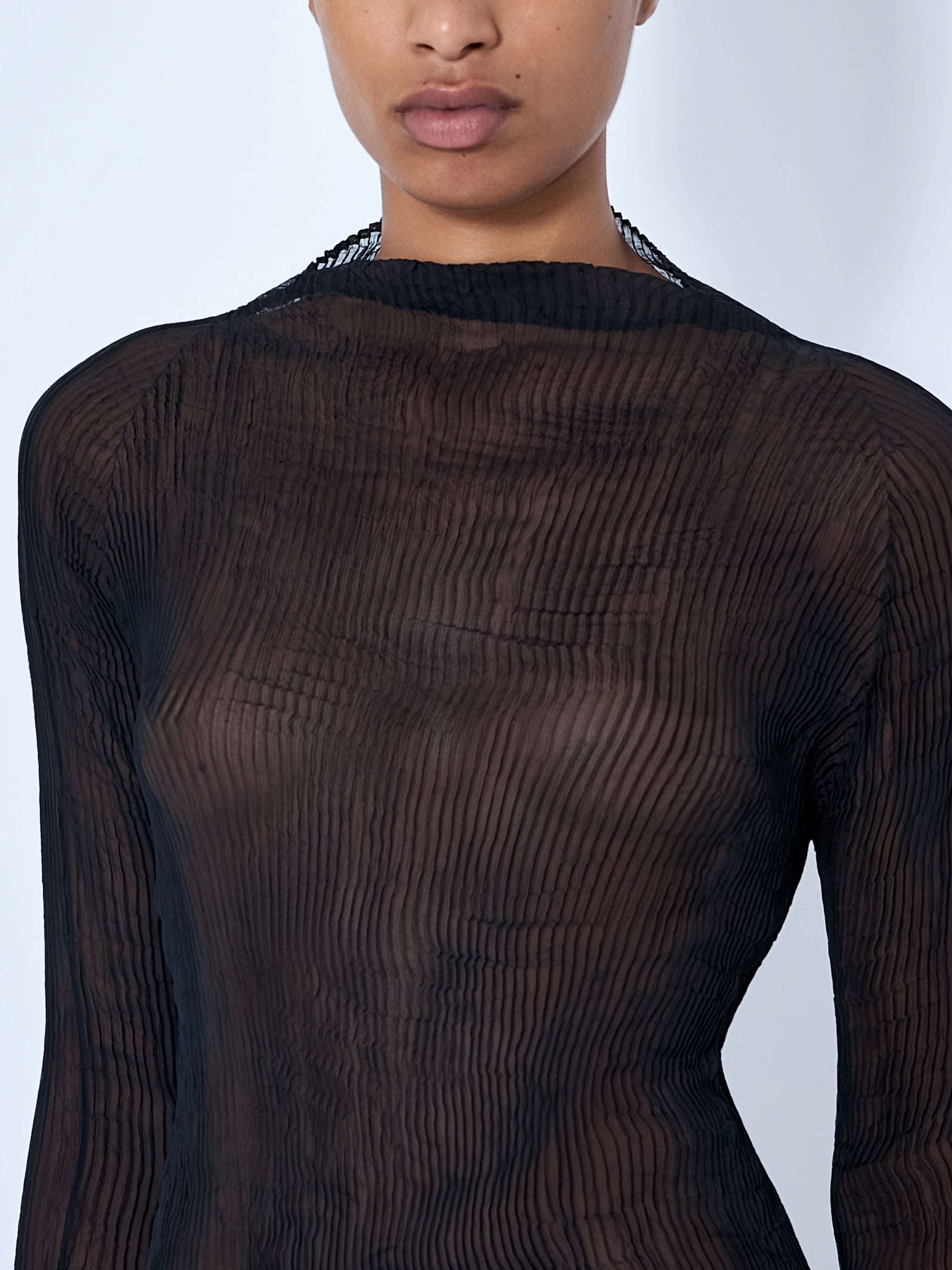 Sheer Pleated Top