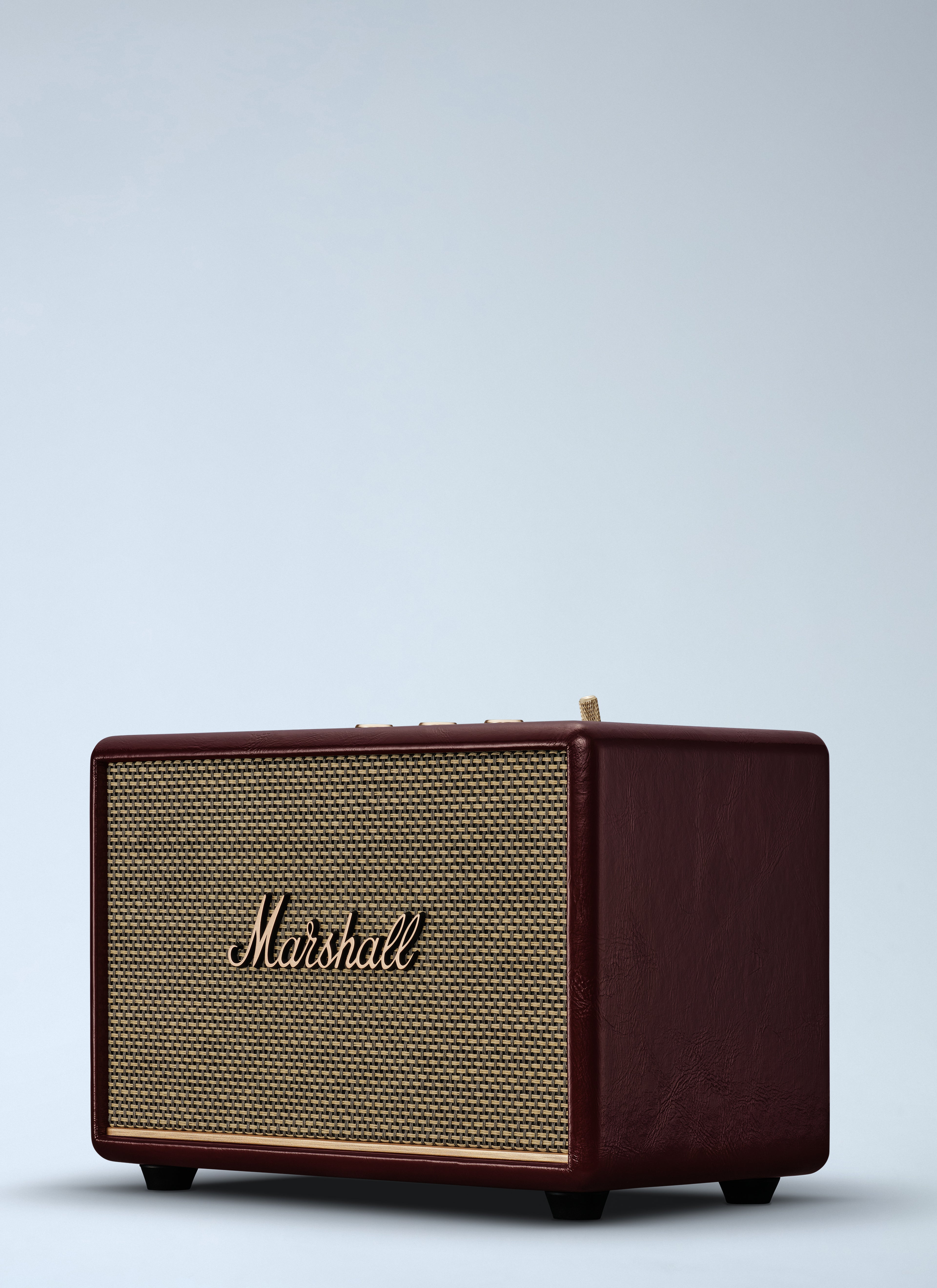 Acton III Burgundy Speaker