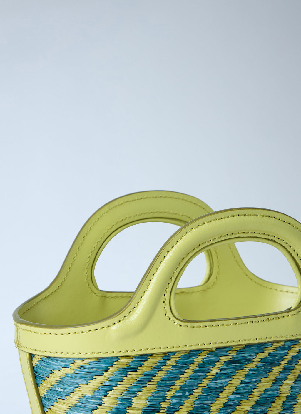 Tropicalia Micro Handbag