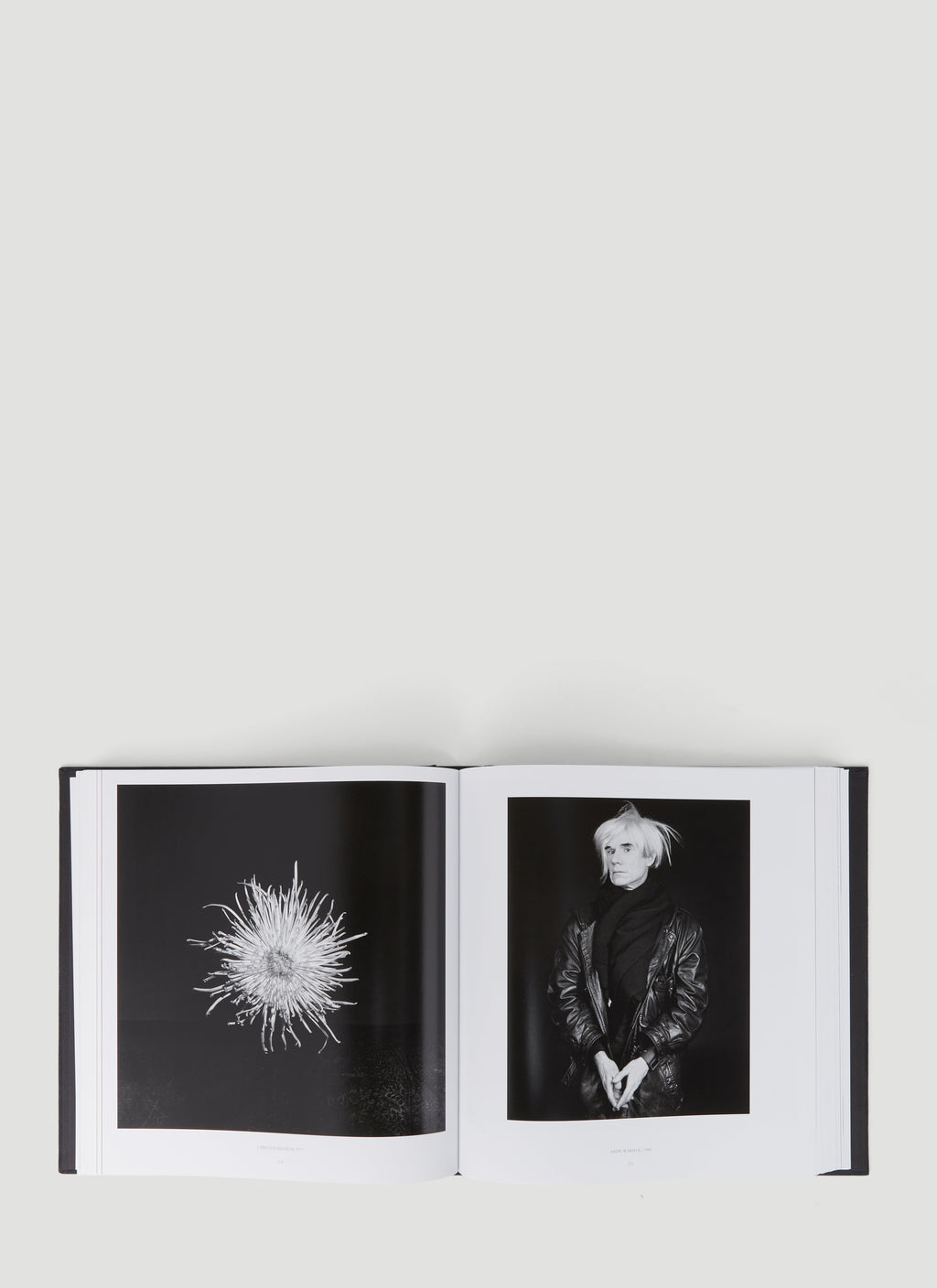 Robert Mapplethorpe