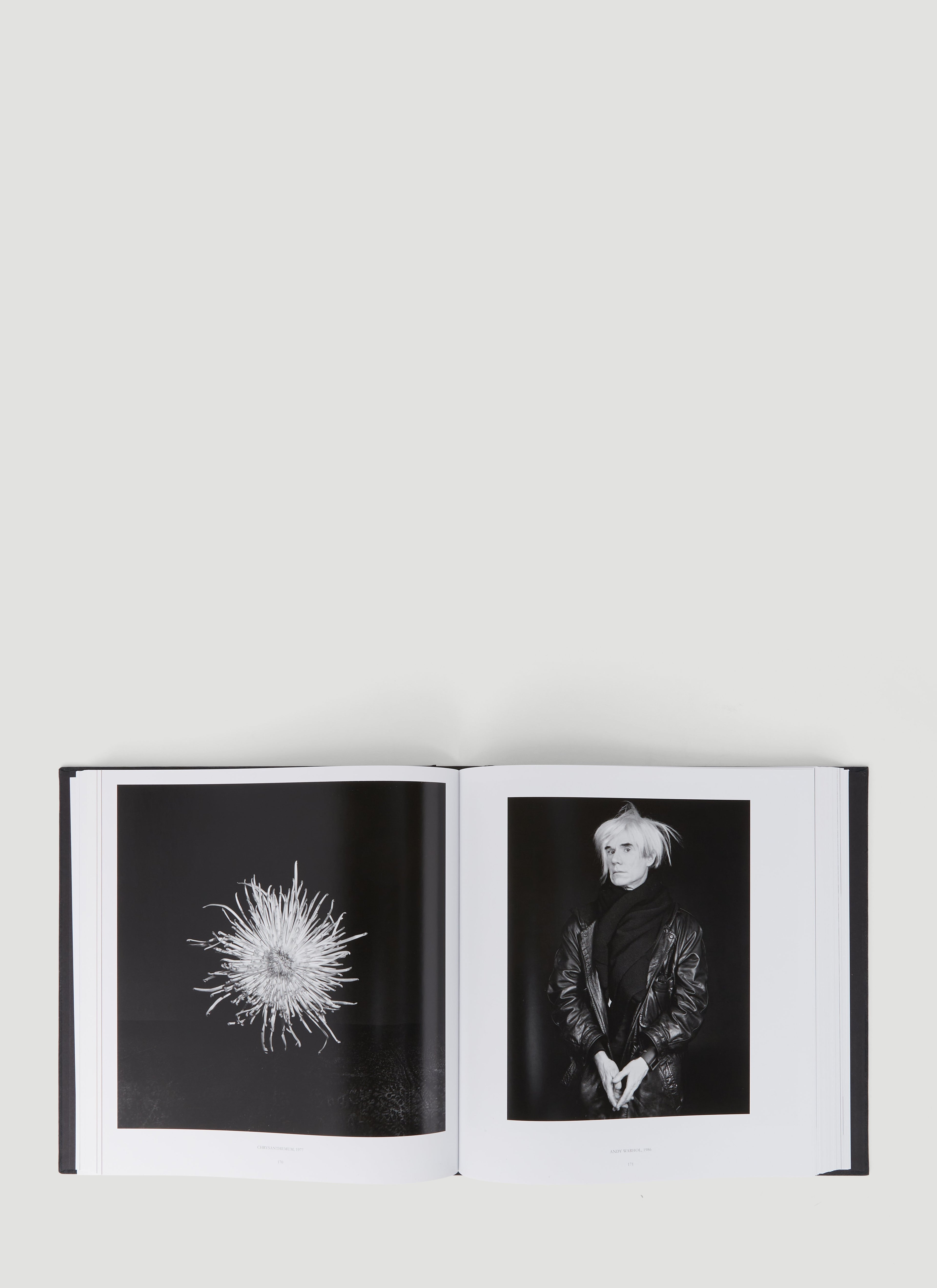 Robert Mapplethorpe