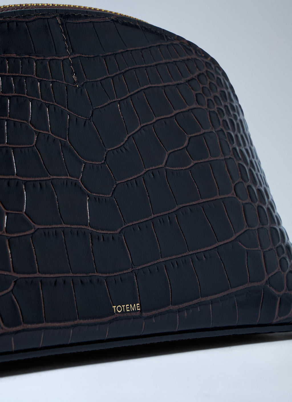 Croc-Embossed Day Pouch