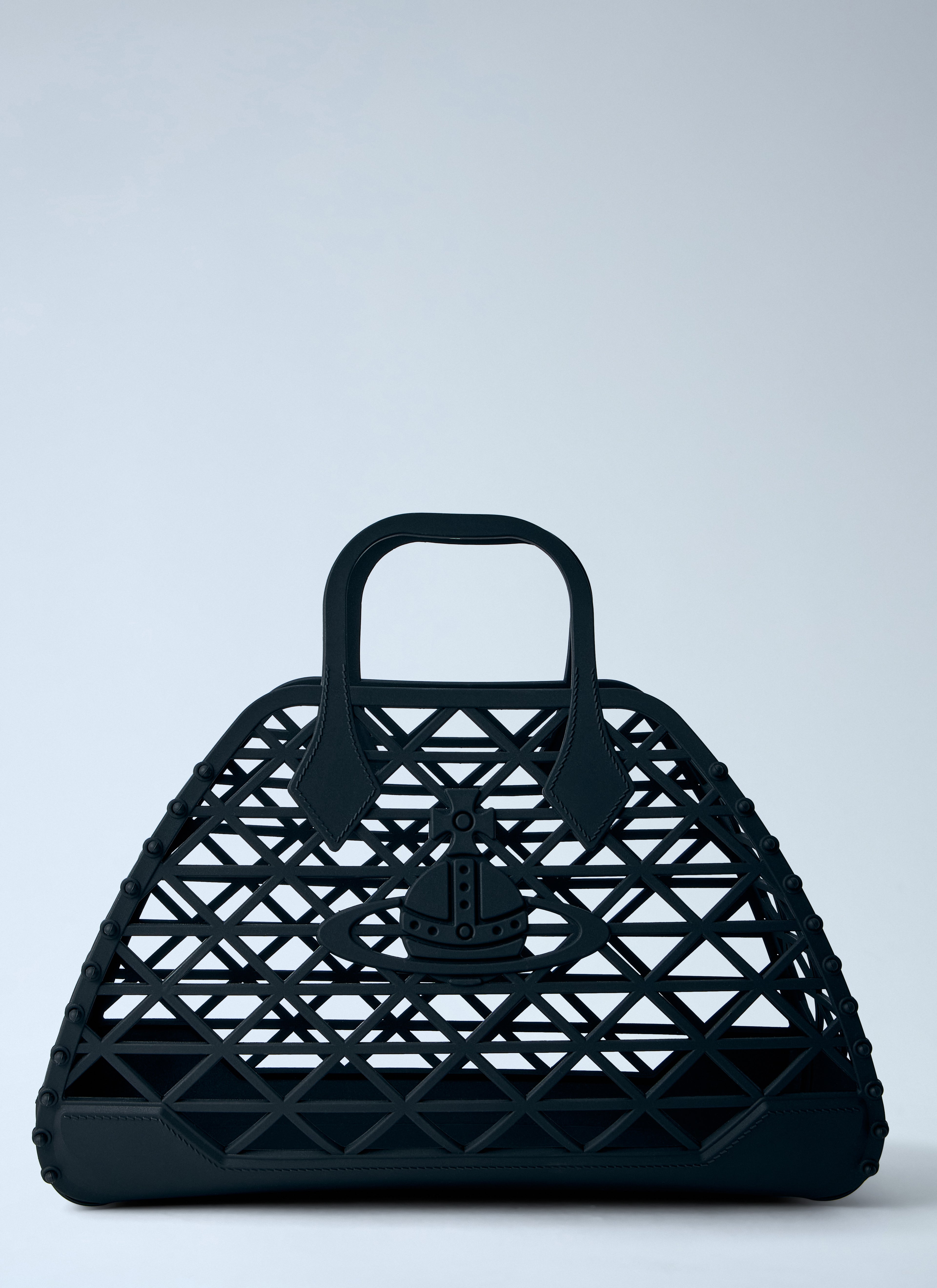 X-Ray Handbag