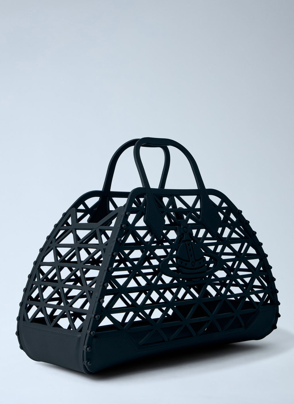 X-Ray Handbag