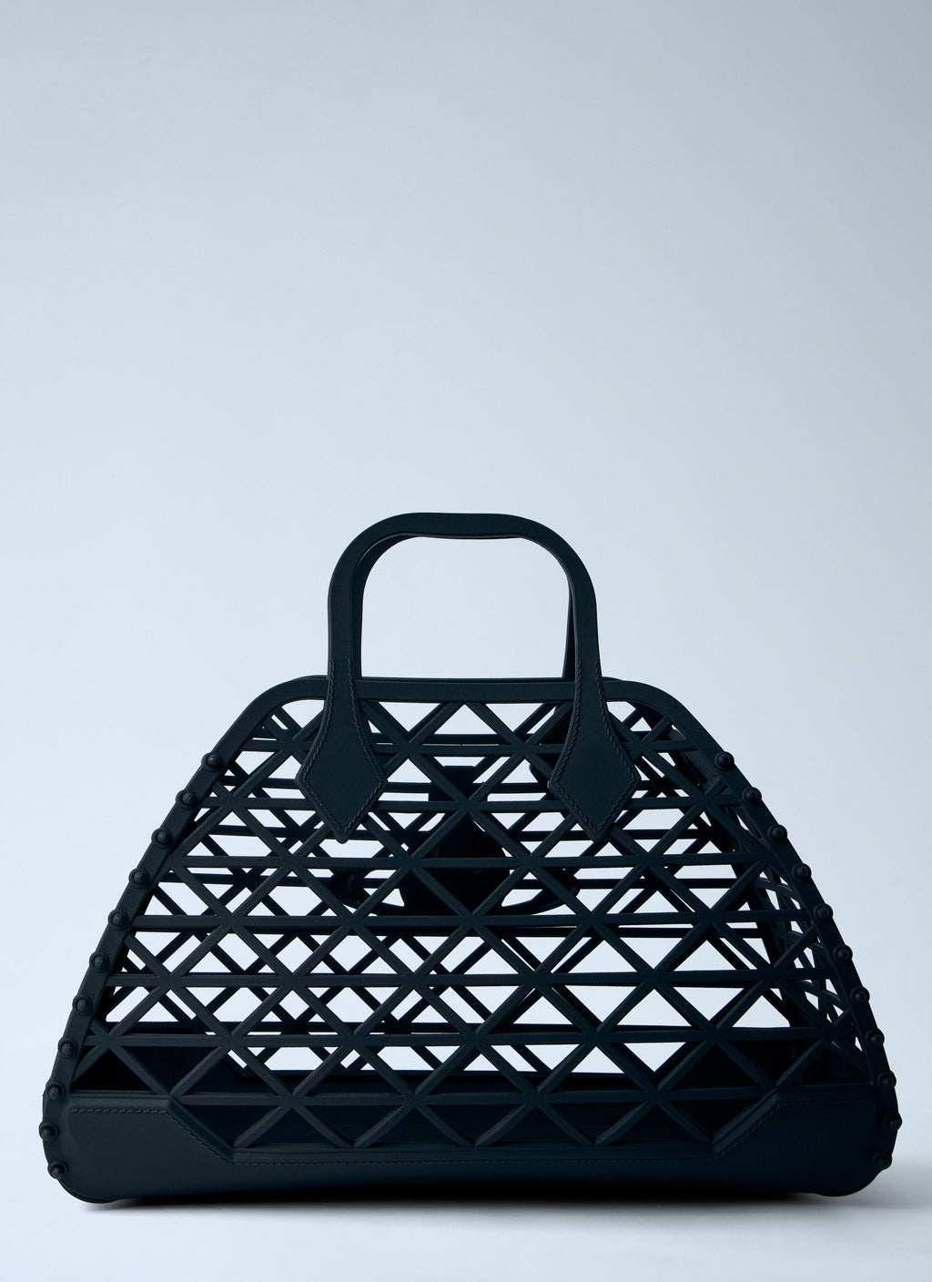 X-Ray Handbag