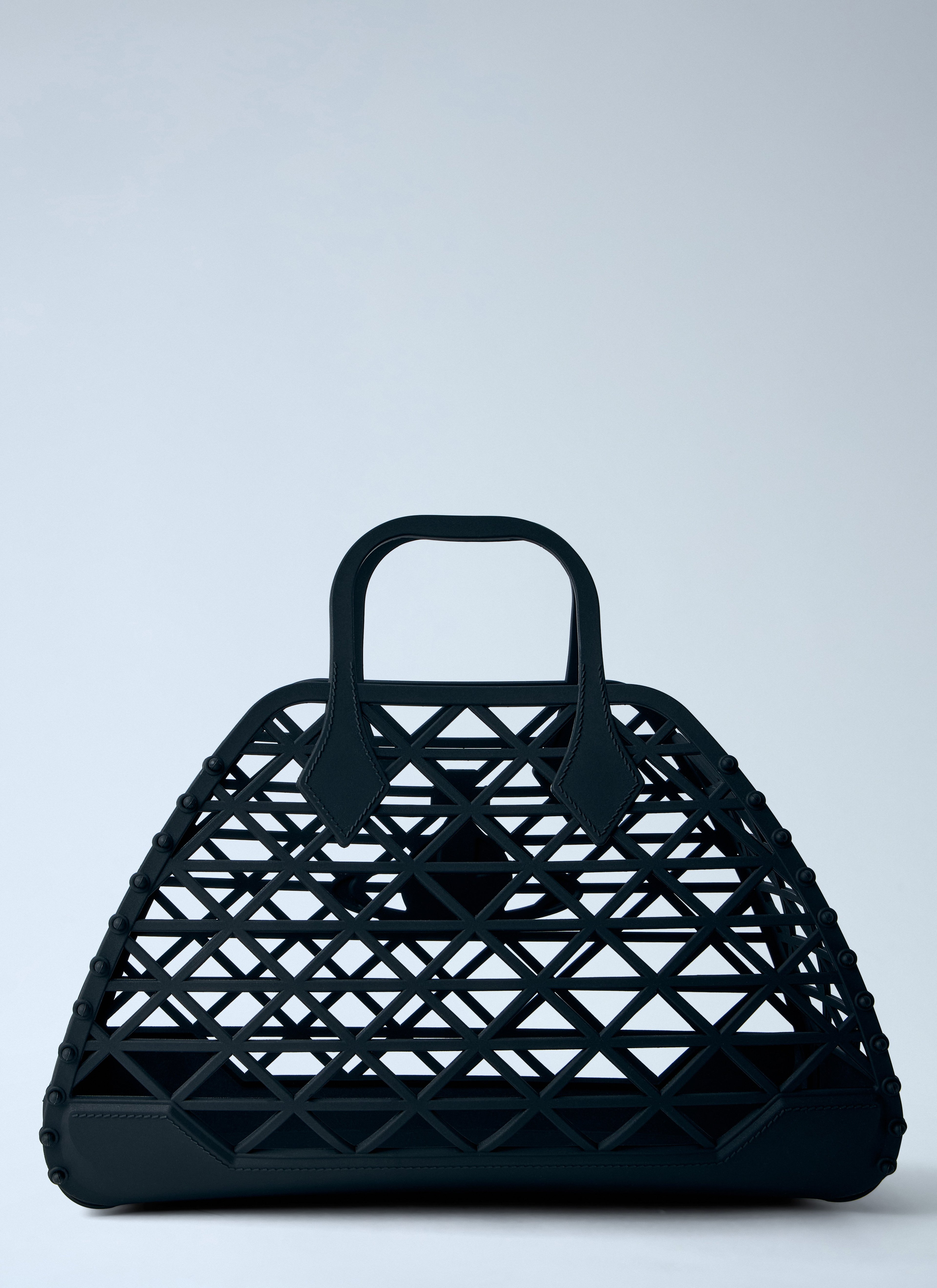X-Ray Handbag