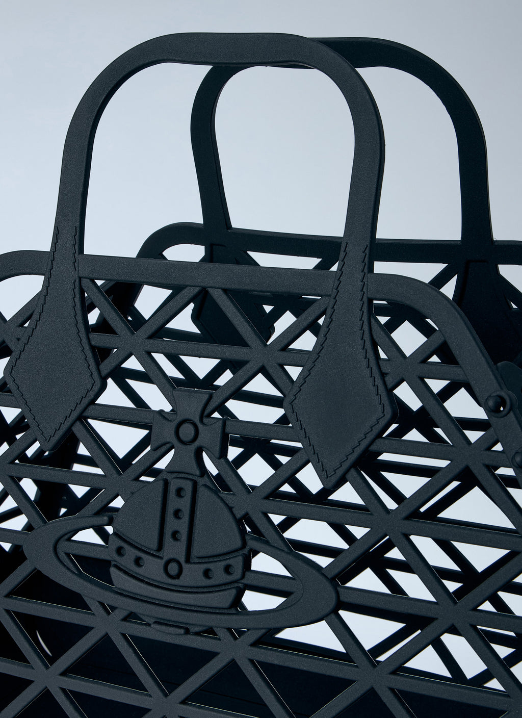X-Ray Handbag